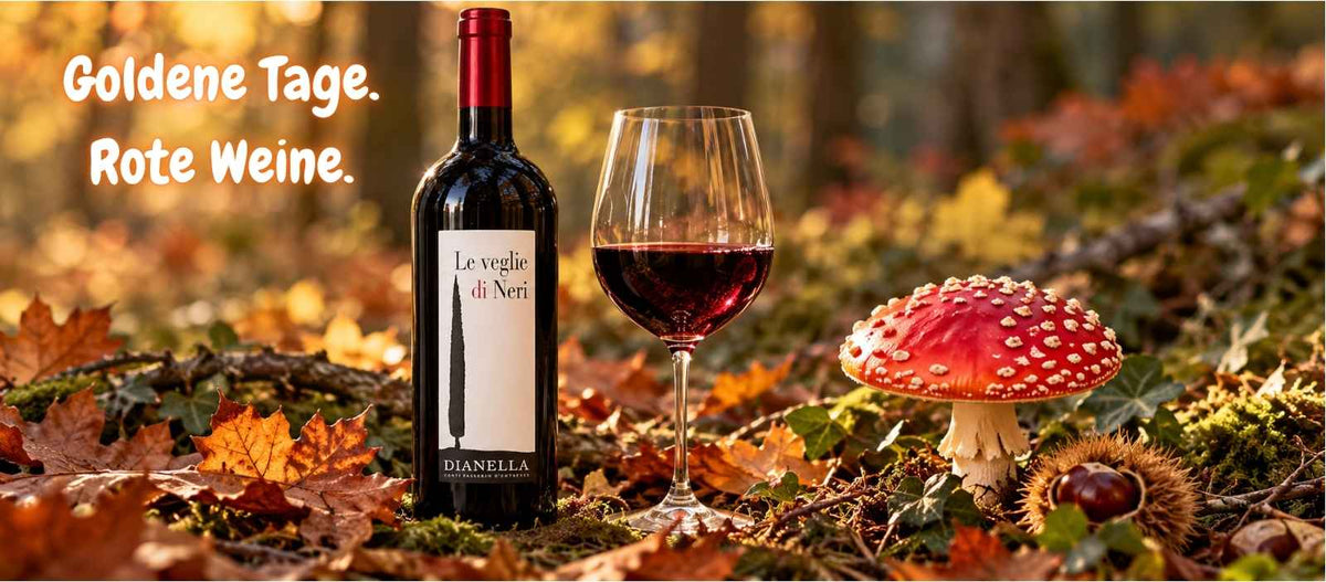Rotwein "Le Veglie di Neri" mit halb gefülltem Glas im Herbstwald mit Fliegenpilz