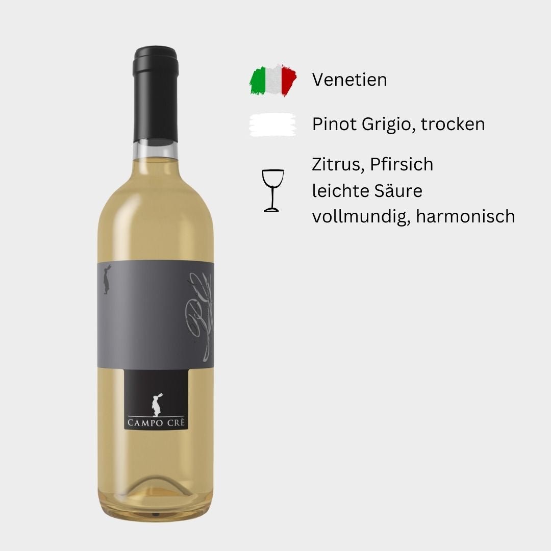 BACCICHETTO - "Pinot Grigio" - Weinwunder