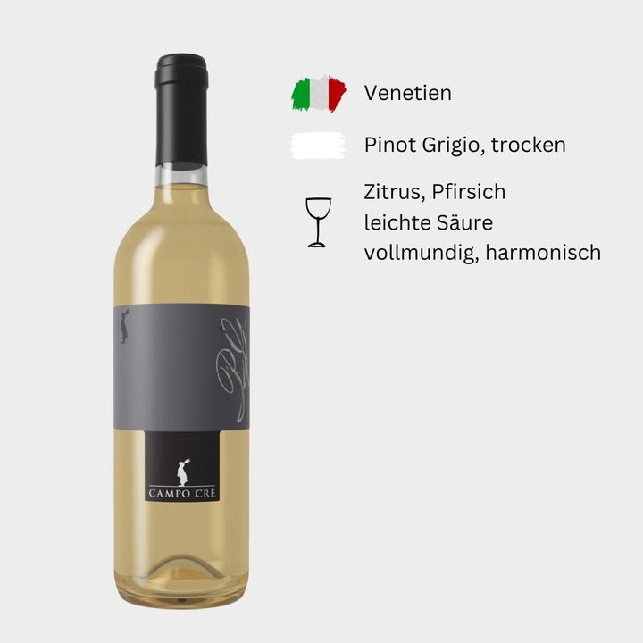 BACCICHETTO - "Pinot Grigio" - Weinwunder