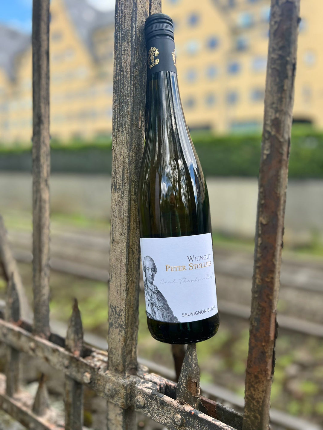 Weingut Peter Stolleis , "Sauvignon Blanc", 2021 - Weinwunder