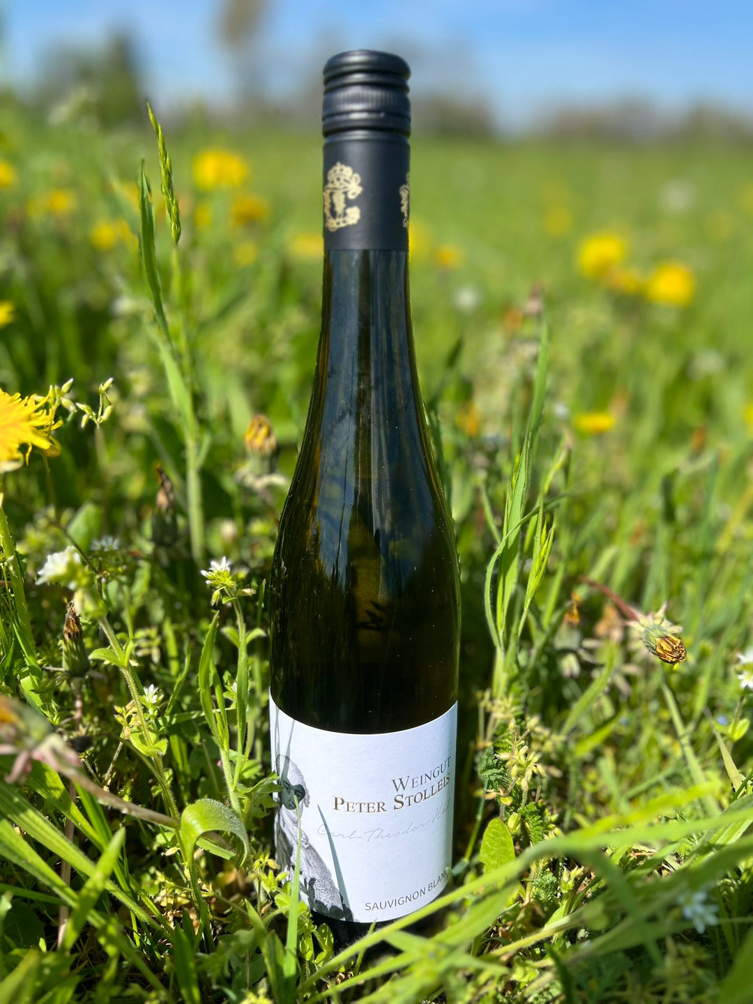 Weingut Peter Stolleis , "Sauvignon Blanc", 2021 in der Wiese